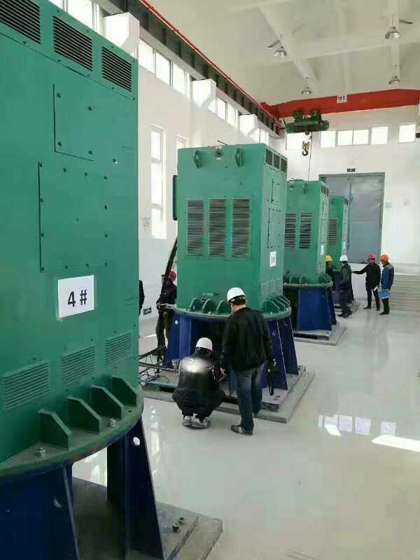 新泰某污水处理厂使用我厂的立式高压电机安装现场